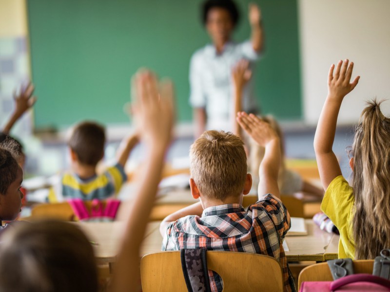 Back view of elementary students raising their hands on a class.