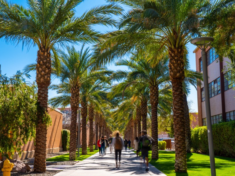 Palm Walk in ASU Tempe Campus