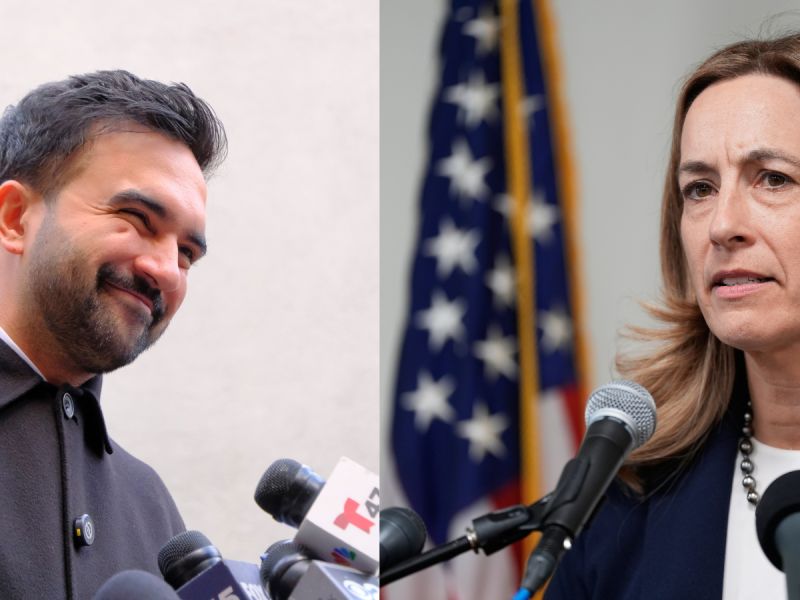 Let's be Friends: Zohran Mamdani, left, and Mikie Sherrill, right, two Democrats from opposite wings of the party, both campaigned on tackling corporate power to bring down prices.
